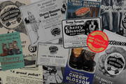 Stepping Through Time: 120 Years of Cherry Blossom
