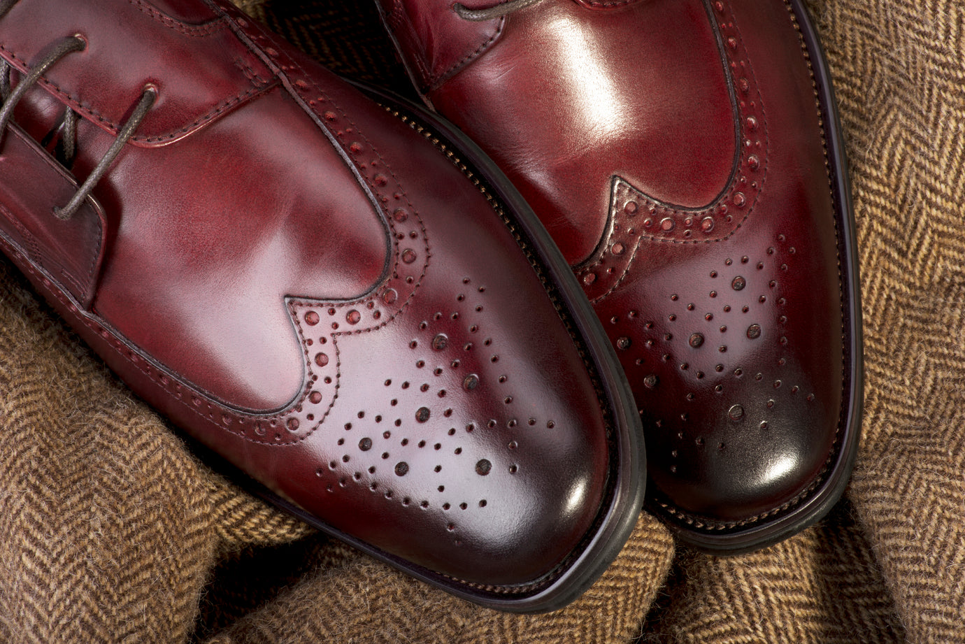 I’ve Invested in a New Pair of Shoes – How Can I Make Sure They Last?